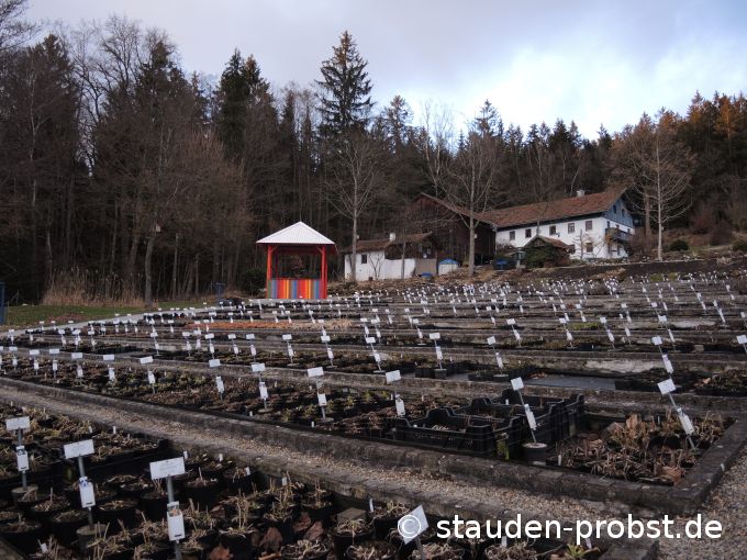 16. März