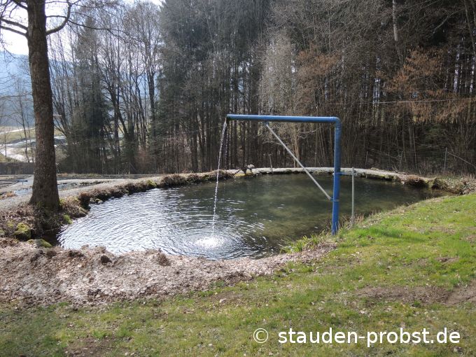 16. März