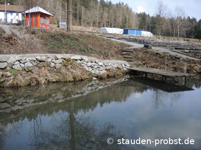16. März