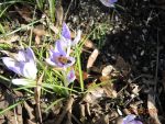 DSCN1181
