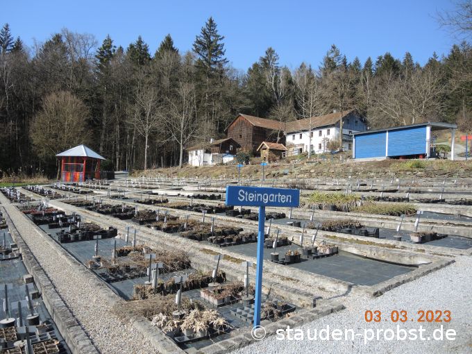 3. März