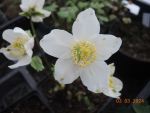 DSCN3856