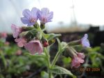 DSCN3859