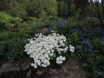 DSCN7049
