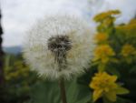 DSCN7057