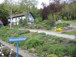 DSCN3441