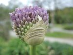 DSCN3449