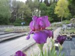 DSCN3478