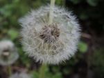 DSCN3494