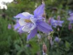 DSCN3562