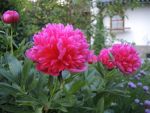 DSCN3576