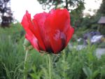 DSCN3581
