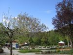 DSCN1536