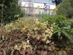 DSCN1365