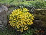 DSCN1367