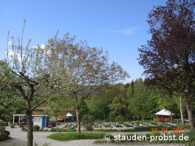 18. Mai