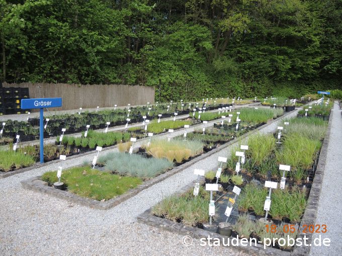 18. Mai