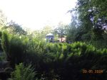 DSCN4405