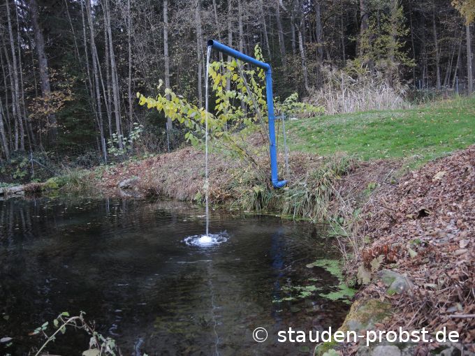 19. November