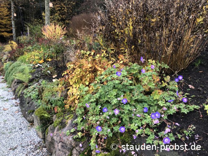 2. November