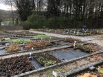 Bilder November 2020