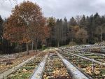 IMG_0461