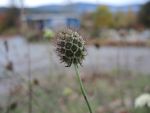 DSCN8089