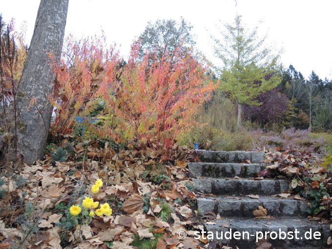 3. November