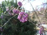 DSCN8167