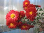 DSCN8175
