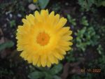 DSCN0397