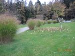 DSCN0403