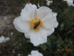 DSCN0418