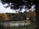 DSCN0446