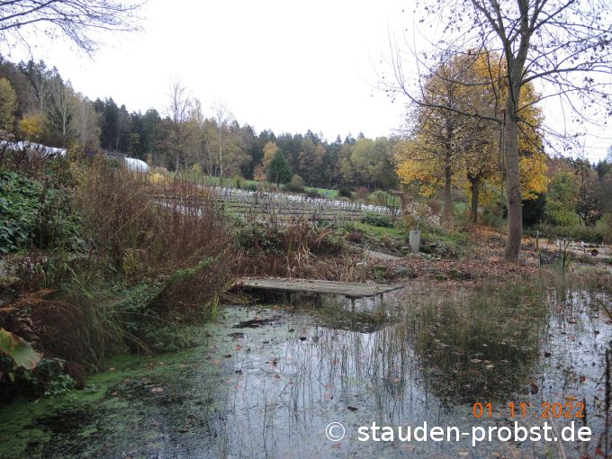 1. November