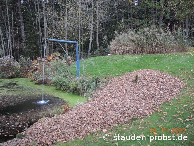 1. November