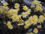 DSCN0476