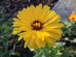DSCN3179