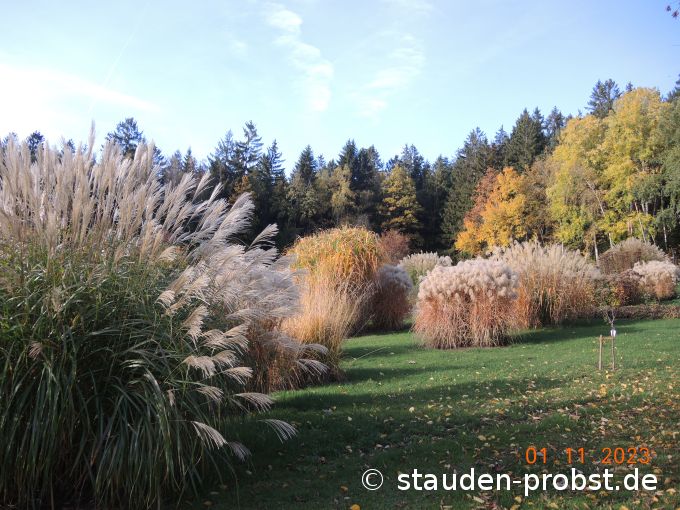 1. November