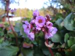 DSCN3249