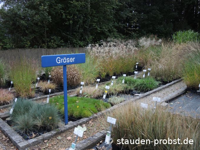 1. Oktober