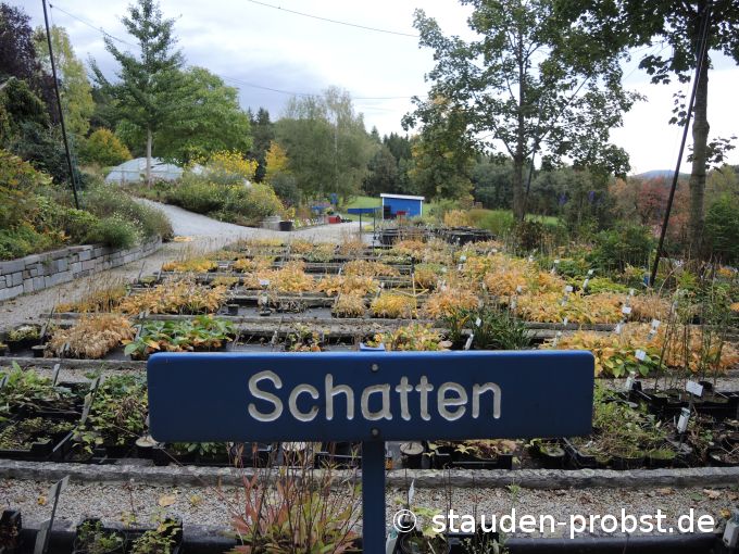 1. Oktober