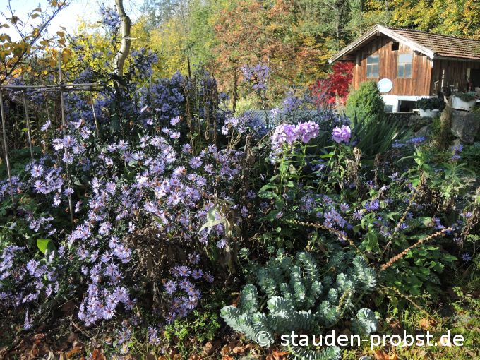 19. Oktober