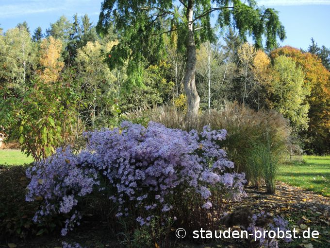19. Oktober