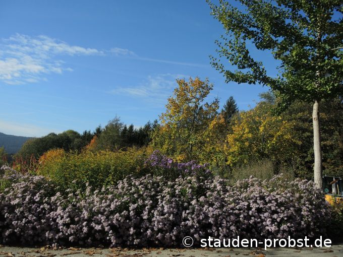 19. Oktober