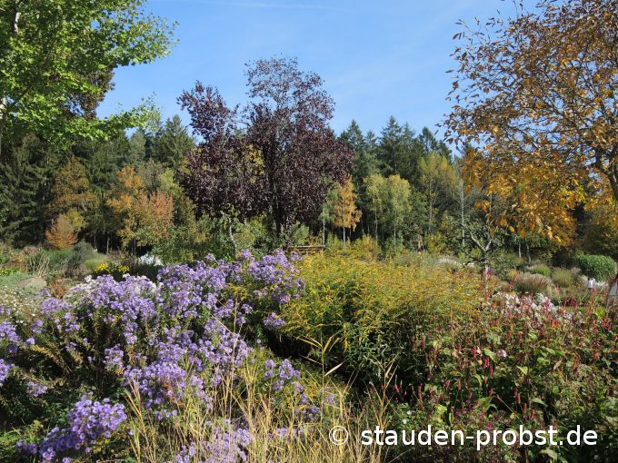19. Oktober