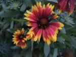DSCN5156