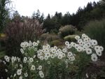 DSCN5179