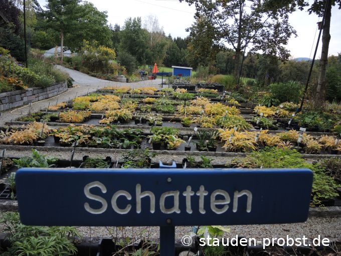 3. Oktober