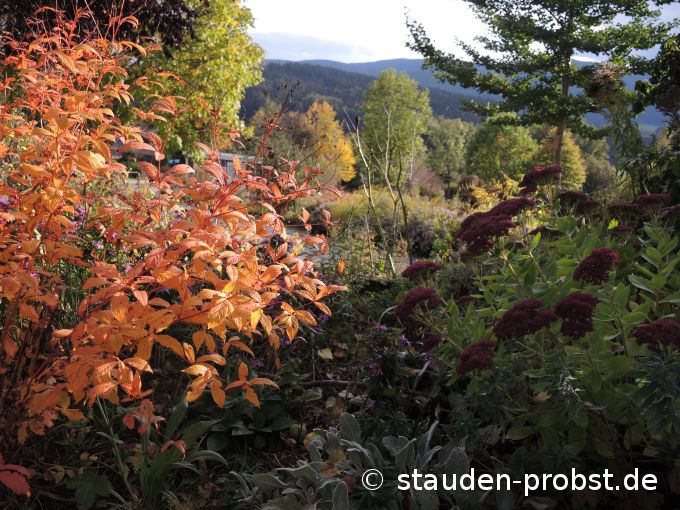 18. Oktober